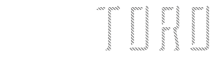 Toro logo
